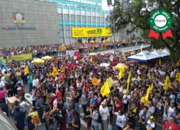 Greve-2019_Especial-20-anos-Afagro-260x188.jpg