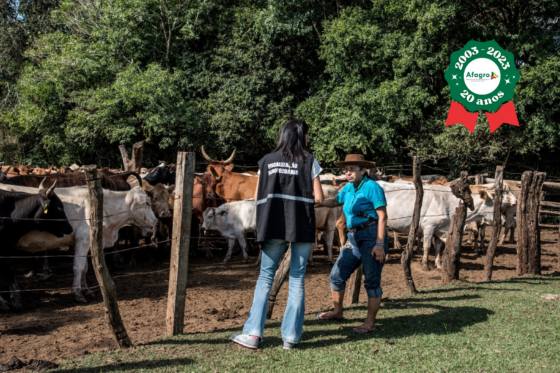 Avanços recentes do setor não trouxeram valorização da categoria