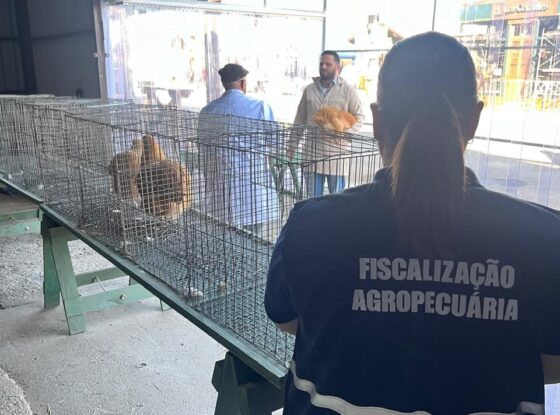 Retorno das aves à Expointer tem chancela dos Fiscais Estaduais Agropecuários