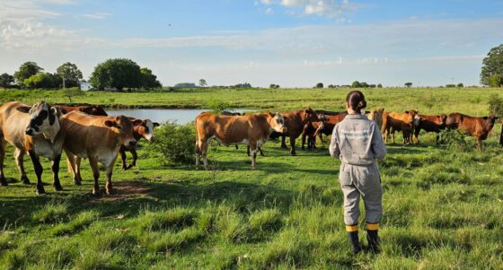 Afagro alerta para risco de precarização da Defesa Agropecuária