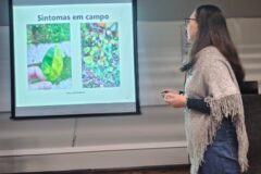 Palestra-greening_Caxias2026-240x160.jpg