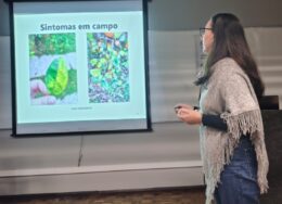 Palestra-greening_Caxias2026-260x188.jpg